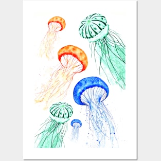 jelly fishes Posters and Art